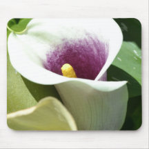 White Calla Lily Mousepad