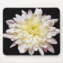 White chrysanthemum  flowers mouse pad