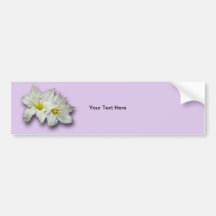 White Clematis Bumper Stickers