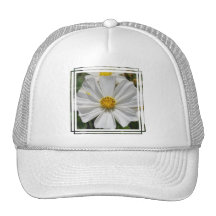 White Cosmos Flower Baseball Hat