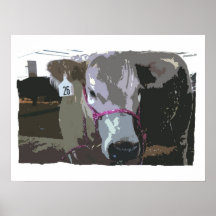 White cow head picture, cartoonized poster
