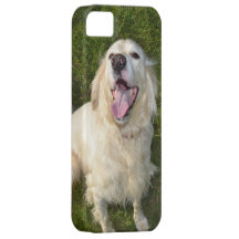 White Dog iPhone 5 Cases