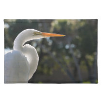 White Egret backlit looking right against trees placemats