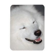 White Eskimo Dog Flexible Magnet