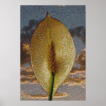White Flower Mosaic Posters