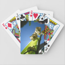 White Flower Playing Cards playing cards