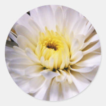 White Flower Round Sticker