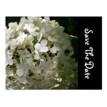 White Flower Save The Date Wedding Postcard
