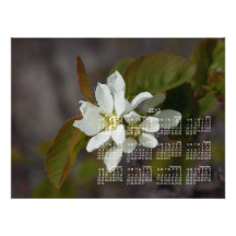 White Flower with Ant; 2013 Calendar Art Photo