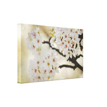 White Flowering Tree Canvas Print