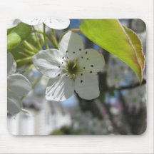 White Flowers Flowering Tree Mousepad
