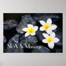 White flowers on the black stones posters