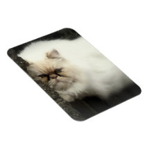 White Fluffy Cat Magnet