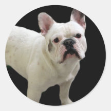 White French Bulldog stickers