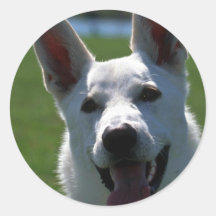 White German Shepherd Round Stickers