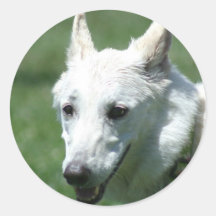 White German Shepherd stickers