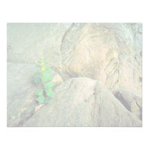 White-haired Goldenrod Custom Invites