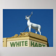 White Hart Hotel Poster/Print