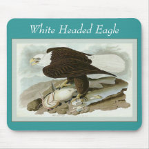 White Headed Eagle Mousepads