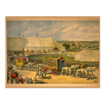 White Horses Parade Circus Poster Post Cards
