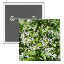 White Jasmine Flowers Button