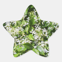 White Jasmine Flowers Stickers