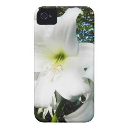 White Lilies iPhone 4/4s Barely There Case iPhone 4 Covers