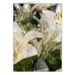 White Lily Easter Art Greeting Card