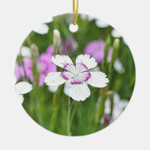 White Maiden Pinks Christmas Ornament