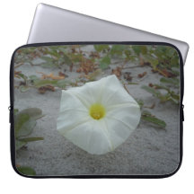 White Morning Glory on the Beach Laptop Computer Sleeves