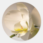 White Orchid Envelope Seal Event Wedding Sticker