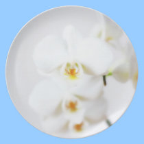 White orchid plates