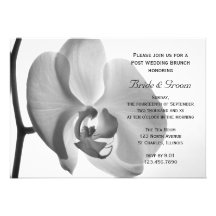White Orchid Post Wedding Brunch Invitation