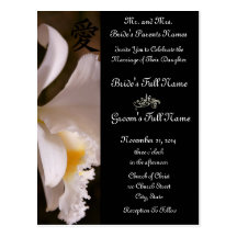White Orchid Wedding Invitations and Favours Postcard