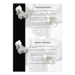 White Orchids Information Sheet 3 Custom Announcements