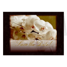 white orchids on red card