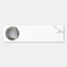 White Peacock Bumper Stickers