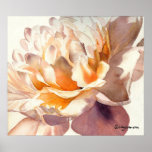 White Peony Watercolor Poster Print