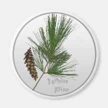 White Pine Tree Magnets