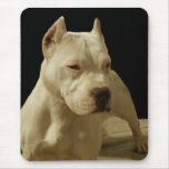 White pitbull mousepad