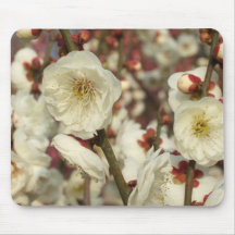 White Plum Blossom - no script Mouse Mats