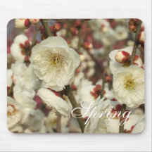 White Plum Blossoms (Spring) Mousepad