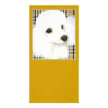 White Poodle Portrait Burberry Art Photo Card