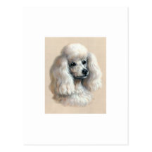 White Poodle Postcards
