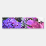 White Queen Bumper Stickers