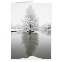 White reflective snow greeting card