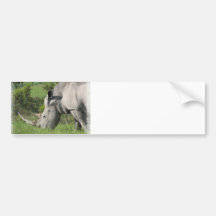 White Rhino Bumper Sticker