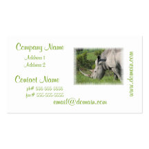 White Rhino Business Card