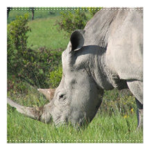 White Rhino Invitations