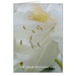 White Rhododendron | Wedding Congratulation Card